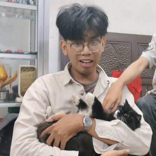 User